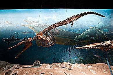 《星鸣特攻》2.0？《惑星行者》两个角色设计曝光